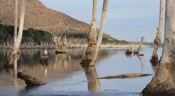 Lago Enriquillo  La Descubierta