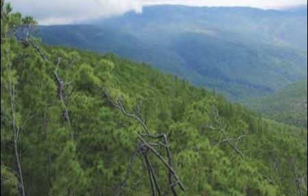 El Parque Nacional Sierra de Bahoruco